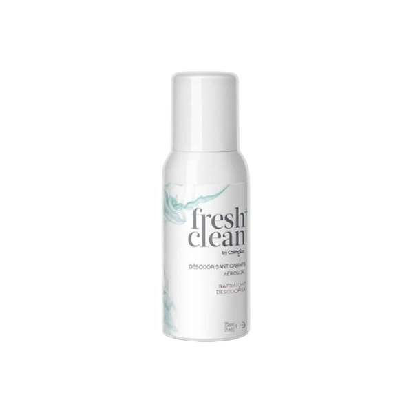 Fresh Clean Aerosol – Αποσμητικό Χώρου για Αεροσκάφη 100ml